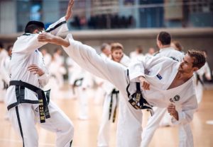 Taekwondo Back Kick Tutorial AKA Back Piercing Kick By Carl van Roon