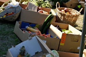 The Vegan Goods Market At The Source Yoga Studio In Cape Town