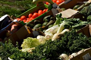 The Vegan Goods Market At The Source Yoga Studio In Cape Town