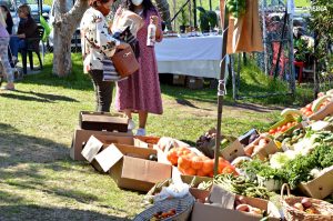 The Vegan Goods Market At The Source Yoga Studio In Cape Town