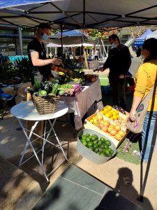 The Vegan Food Fair SA Market At Loftus Pretoria, In Photos