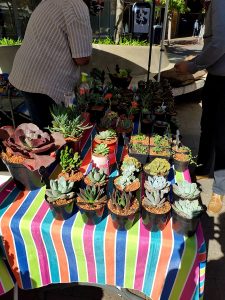 The Vegan Food Fair SA Market At Loftus Pretoria, In Photos