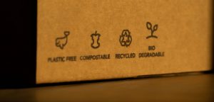 Sustainable Footwear