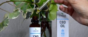 I Tried CBD Oil For 30 Days, Crede Natural Oils CBD Oil Review