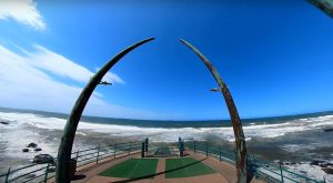 AMAZING BEACH VIEWS! Surf, Swim, Sun, Walk In Durban South Africa