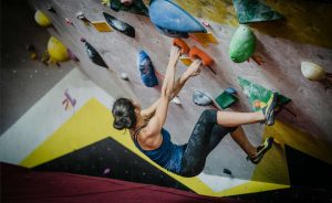Climbing Wall to Your Home Gym
